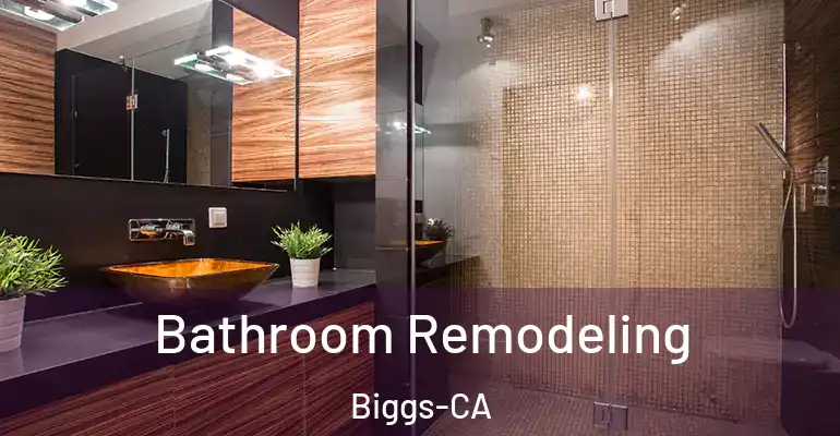 inner Bathroom imggen Bathroom Remodeling Biggs-CA