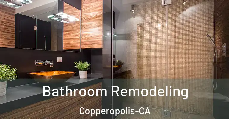inner Bathroom imggen Bathroom Remodeling Copperopolis-CA