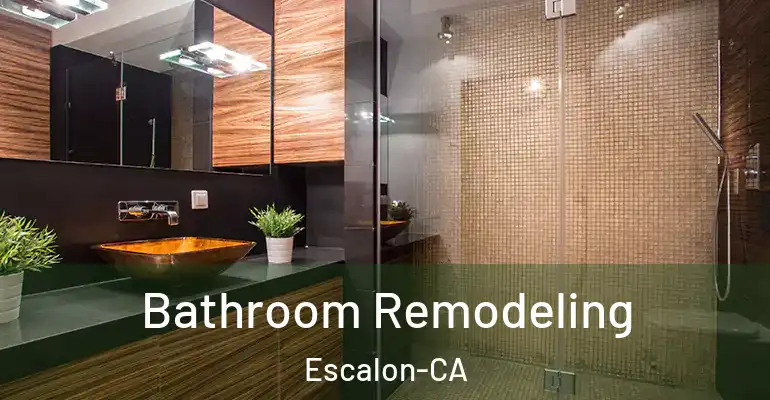 inner Bathroom imggen Bathroom Remodeling Escalon-CA