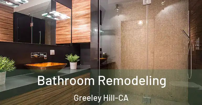inner Bathroom imggen Bathroom Remodeling Greeley Hill-CA