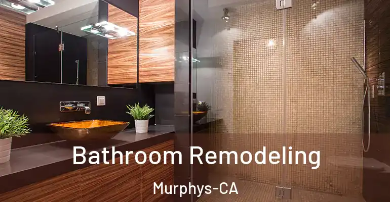 inner Bathroom imggen Bathroom Remodeling Murphys-CA