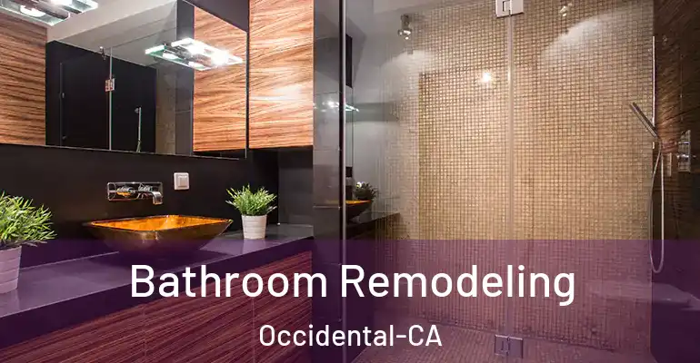 inner Bathroom imggen Bathroom Remodeling Occidental-CA