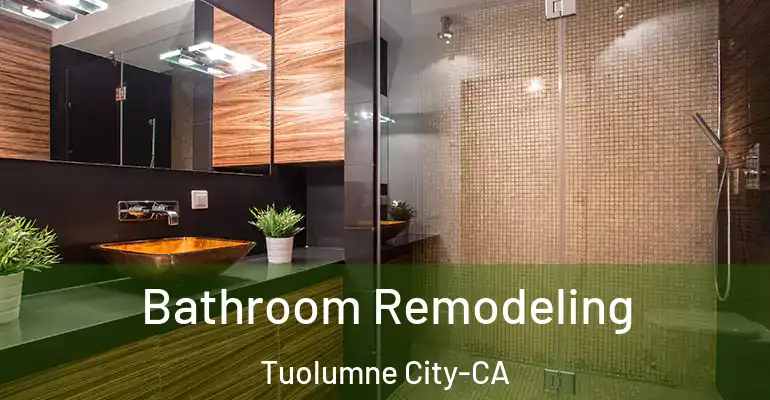 inner Bathroom imggen Bathroom Remodeling Tuolumne City-CA