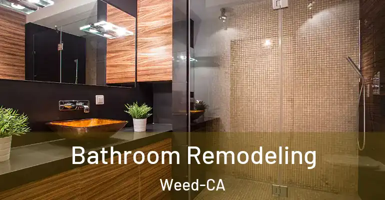 inner Bathroom imggen Bathroom Remodeling Weed-CA