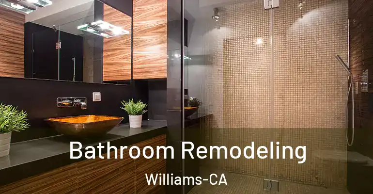 inner Bathroom imggen Bathroom Remodeling Williams-CA