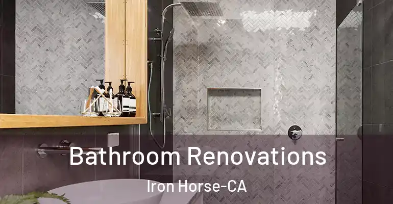 inner Bathroom imggen Bathroom Renovations Iron Horse-CA