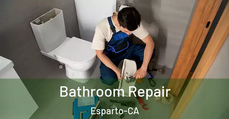 inner Bathroom imggen Bathroom Repair Esparto-CA