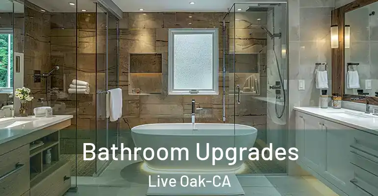 inner Bathroom imggen Bathroom Upgrades Live Oak-CA