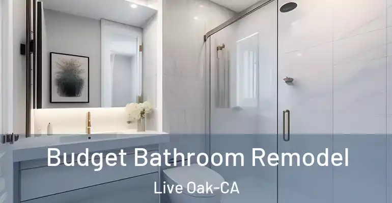 inner Bathroom imggen Budget Bathroom Remodel Live Oak-CA