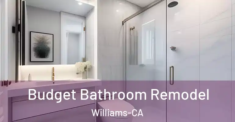 inner Bathroom imggen Budget Bathroom Remodel Williams-CA
