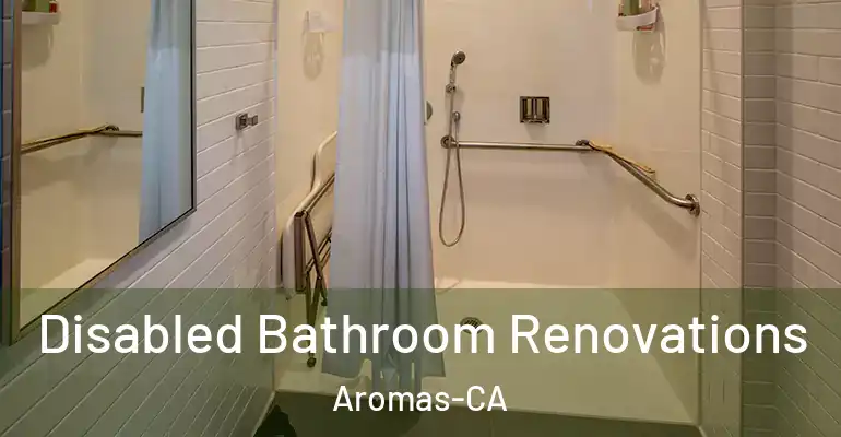 inner Bathroom imggen Disabled Bathroom Renovations Aromas-CA