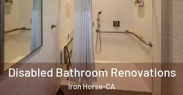 inner Bathroom imggen Disabled Bathroom Renovations Iron Horse-CA
