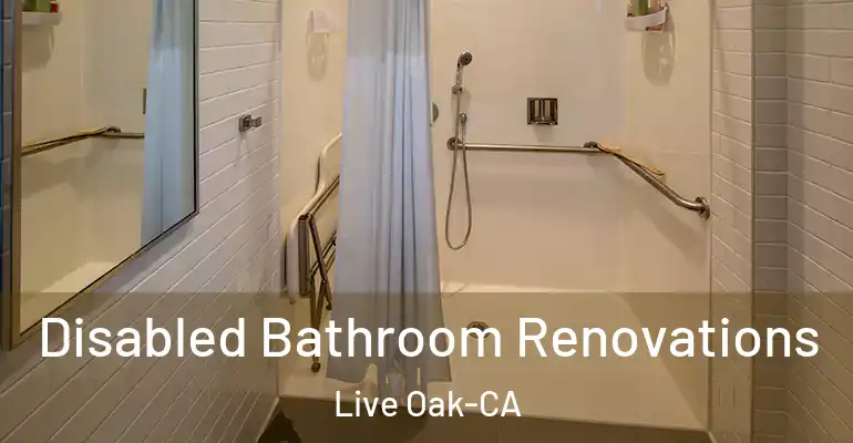inner Bathroom imggen Disabled Bathroom Renovations Live Oak-CA