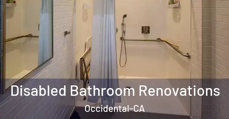 inner Bathroom imggen Disabled Bathroom Renovations Occidental-CA