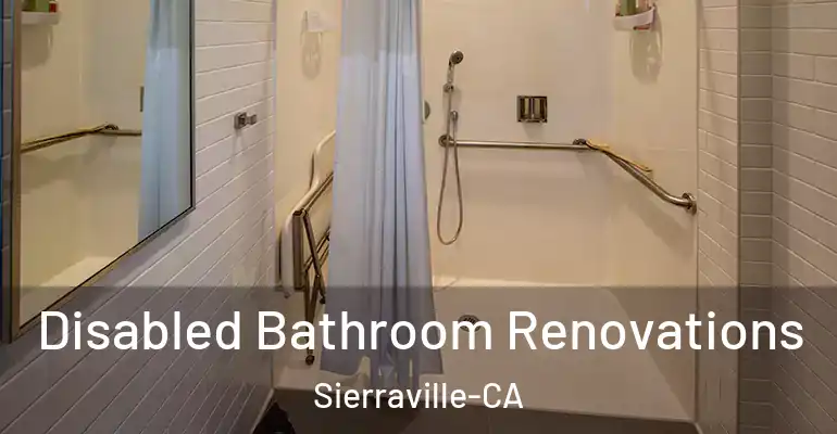 inner Bathroom imggen Disabled Bathroom Renovations Sierraville-CA