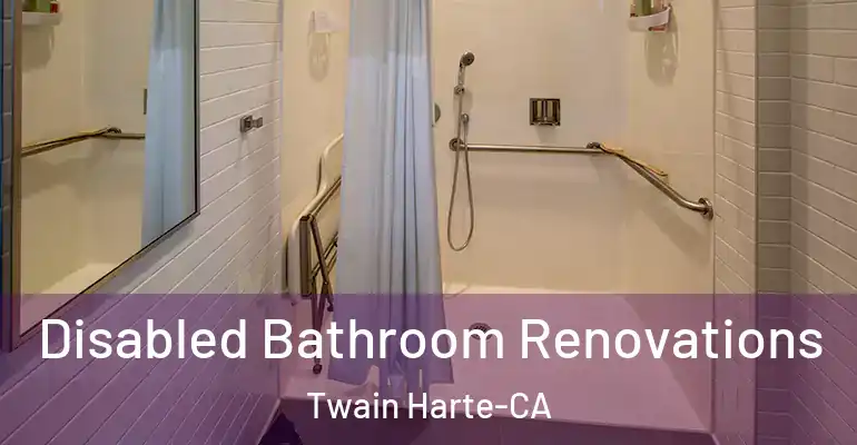 inner Bathroom imggen Disabled Bathroom Renovations Twain Harte-CA