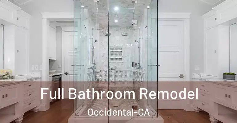 inner Bathroom imggen Full Bathroom Remodel Occidental-CA