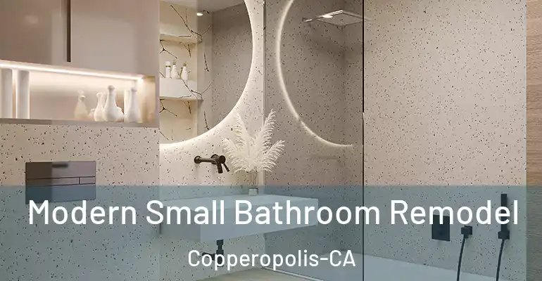 inner Bathroom imggen Modern Small Bathroom Remodel Copperopolis-CA