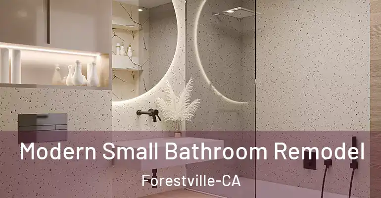 inner Bathroom imggen Modern Small Bathroom Remodel Forestville-CA