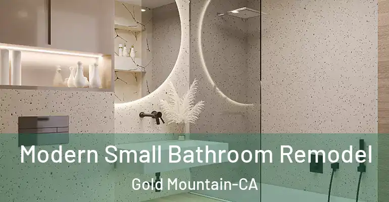 inner Bathroom imggen Modern Small Bathroom Remodel Gold Mountain-CA