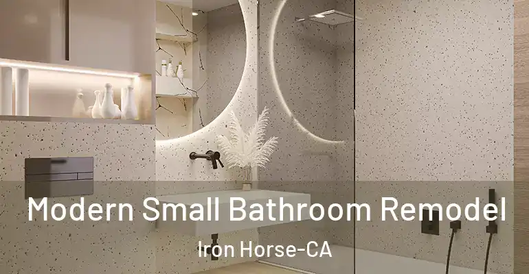 inner Bathroom imggen Modern Small Bathroom Remodel Iron Horse-CA
