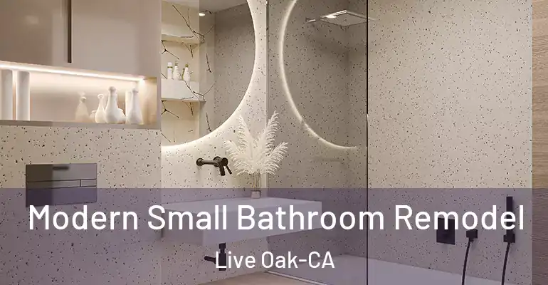inner Bathroom imggen Modern Small Bathroom Remodel Live Oak-CA