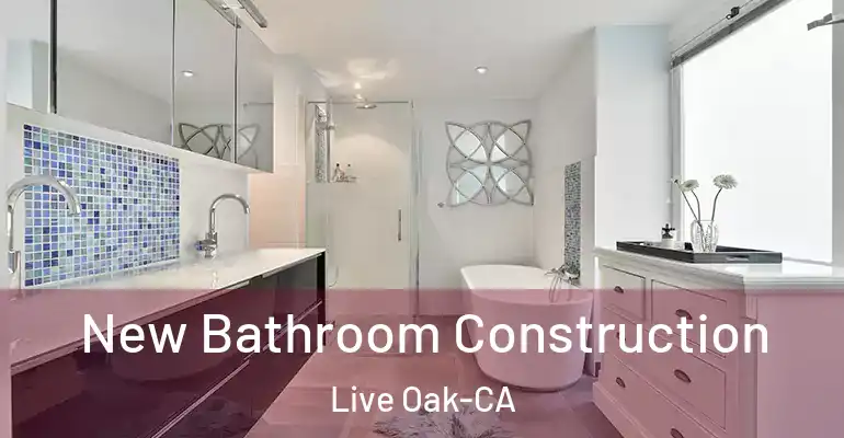 inner Bathroom imggen New Bathroom Construction Live Oak-CA