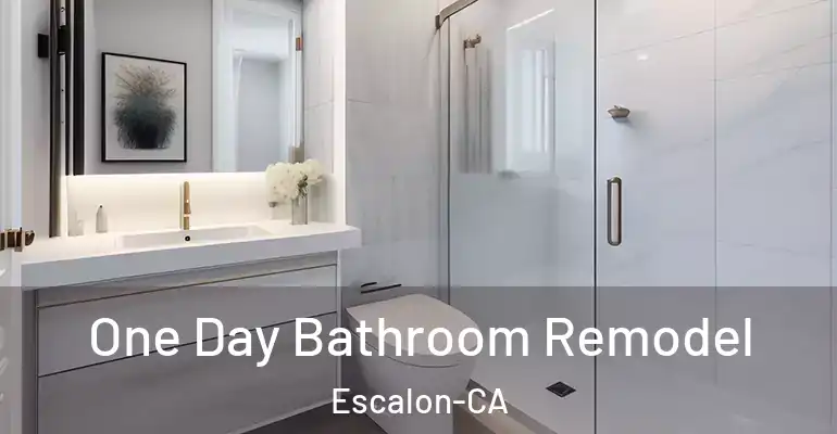 inner Bathroom imggen One Day Bathroom Remodel Escalon-CA