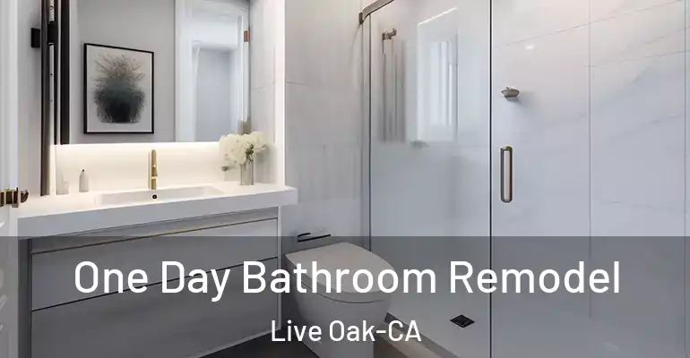 inner Bathroom imggen One Day Bathroom Remodel Live Oak-CA