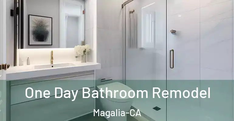 inner Bathroom imggen One Day Bathroom Remodel Magalia-CA