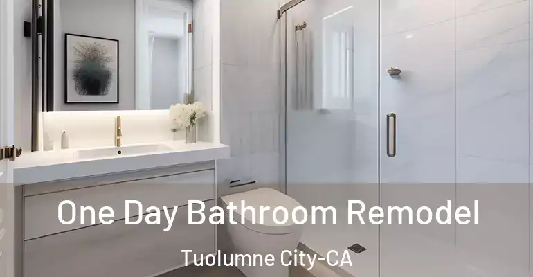 inner Bathroom imggen One Day Bathroom Remodel Tuolumne City-CA