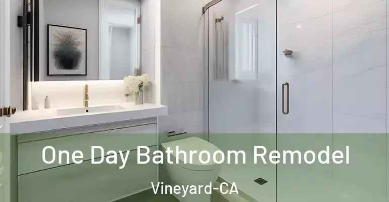 inner Bathroom imggen One Day Bathroom Remodel Vineyard-CA