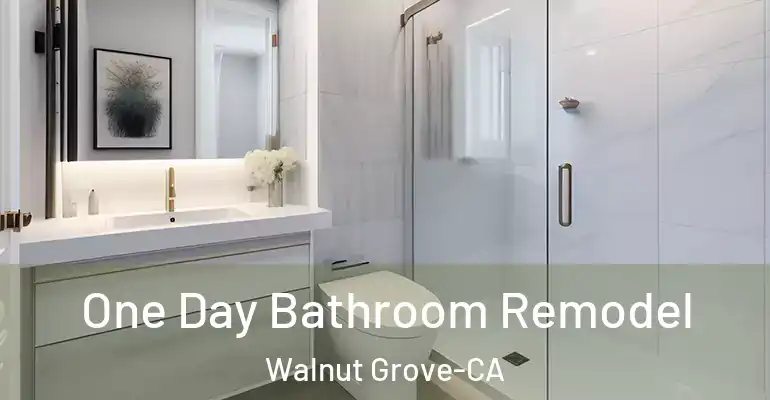 inner Bathroom imggen One Day Bathroom Remodel Walnut Grove-CA