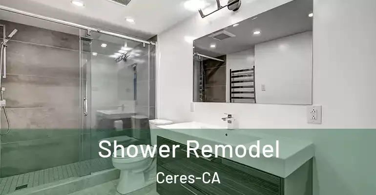 inner Bathroom imggen Shower Remodel Ceres-CA