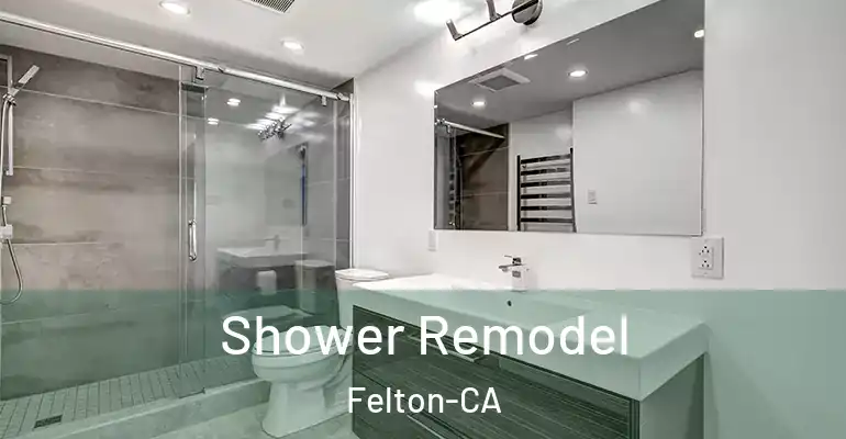 inner Bathroom imggen Shower Remodel Felton-CA