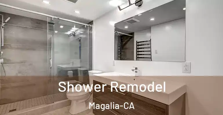 inner Bathroom imggen Shower Remodel Magalia-CA