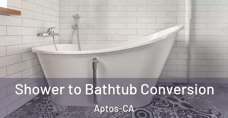 inner Bathroom imggen Shower to Bathtub Conversion Aptos-CA