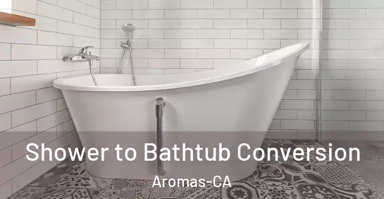 inner Bathroom imggen Shower to Bathtub Conversion Aromas-CA