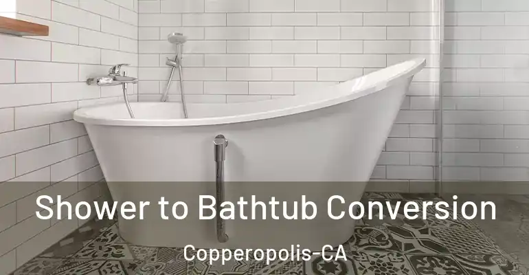 inner Bathroom imggen Shower to Bathtub Conversion Copperopolis-CA