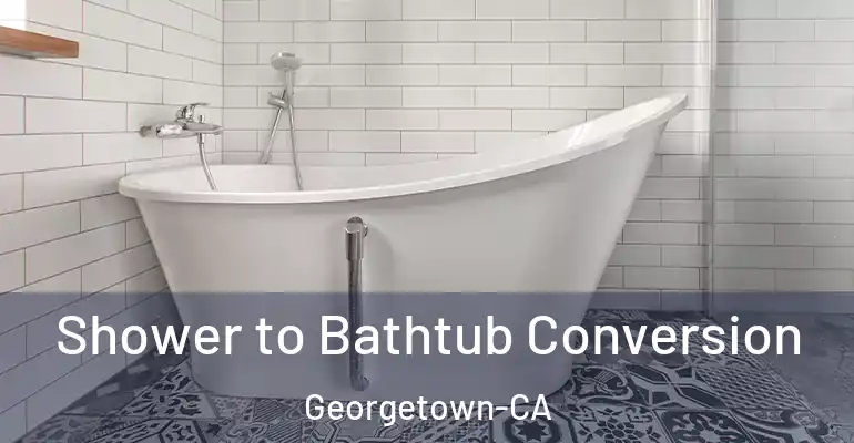 inner Bathroom imggen Shower to Bathtub Conversion Georgetown-CA