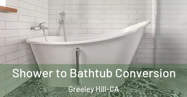 inner Bathroom imggen Shower to Bathtub Conversion Greeley Hill-CA