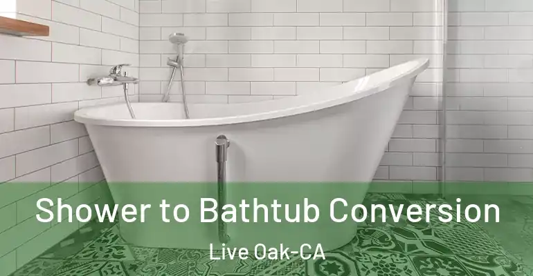 inner Bathroom imggen Shower to Bathtub Conversion Live Oak-CA