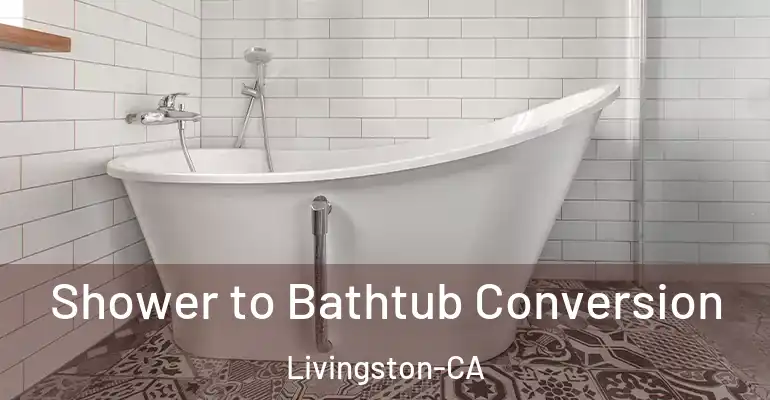 inner Bathroom imggen Shower to Bathtub Conversion Livingston-CA