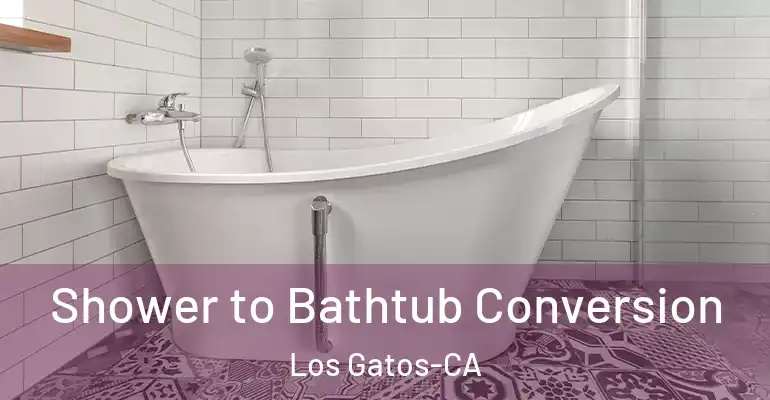 inner Bathroom imggen Shower to Bathtub Conversion Los Gatos-CA