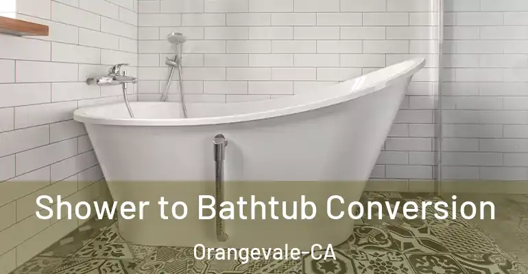 inner Bathroom imggen Shower to Bathtub Conversion Orangevale-CA