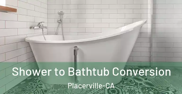 inner Bathroom imggen Shower to Bathtub Conversion Placerville-CA