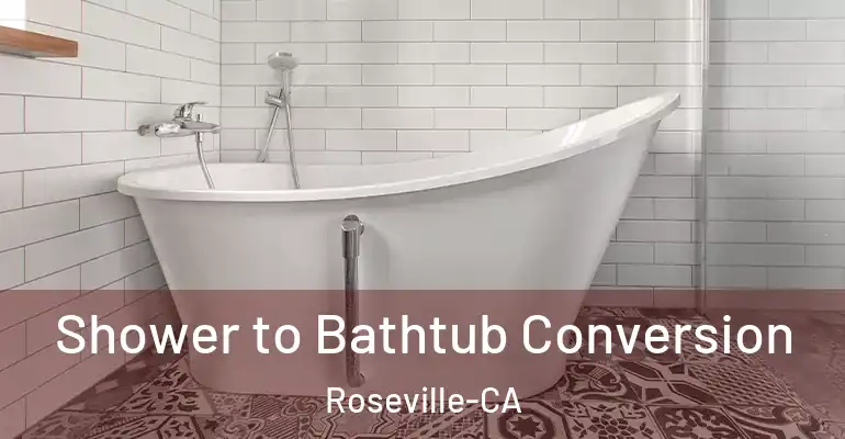 inner Bathroom imggen Shower to Bathtub Conversion Roseville-CA