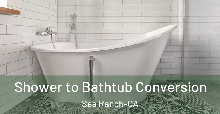 inner Bathroom imggen Shower to Bathtub Conversion Sea Ranch-CA