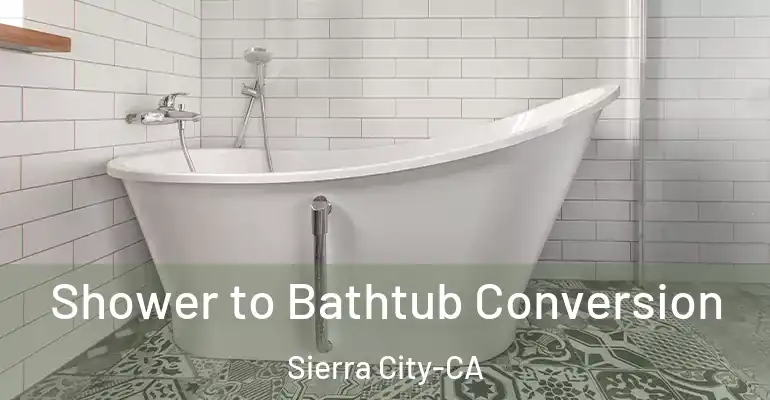 inner Bathroom imggen Shower to Bathtub Conversion Sierra City-CA