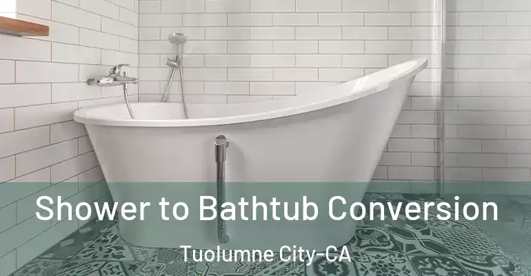 inner Bathroom imggen Shower to Bathtub Conversion Tuolumne City-CA